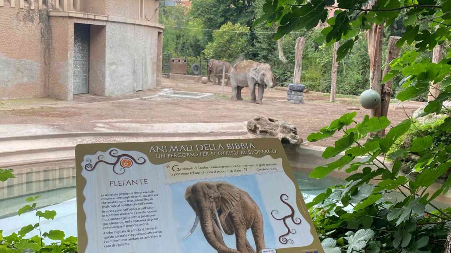 Inaugurato l'itinerario "Animali della Bibbia" al Bioparco di Roma