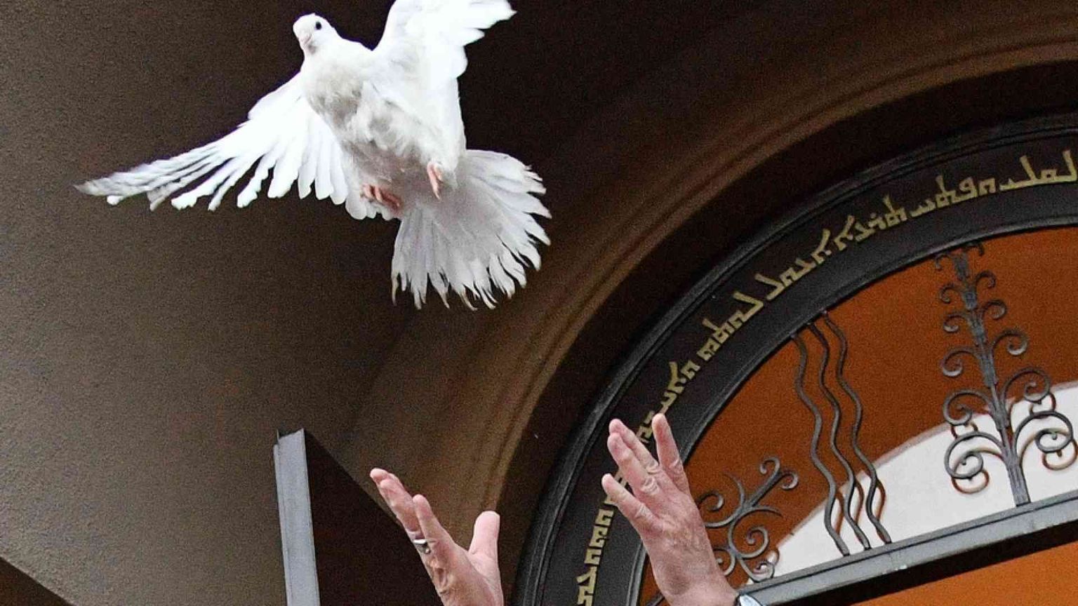 La Giornata per la carità del Papa, segno di pace