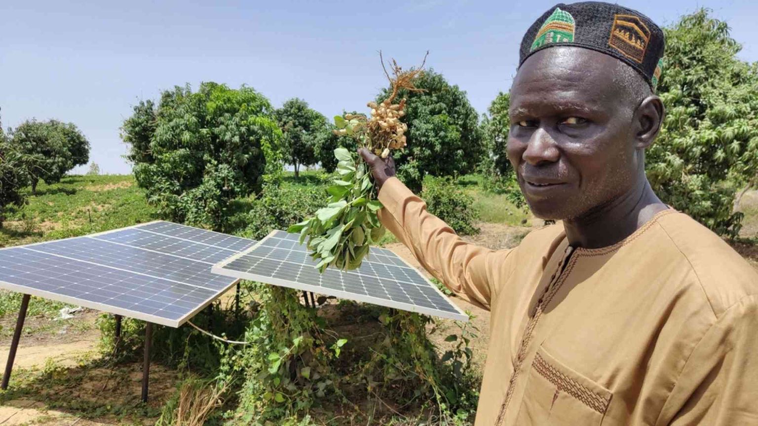 Senegal, investire nell'agricoltura per non continuare a scappare
