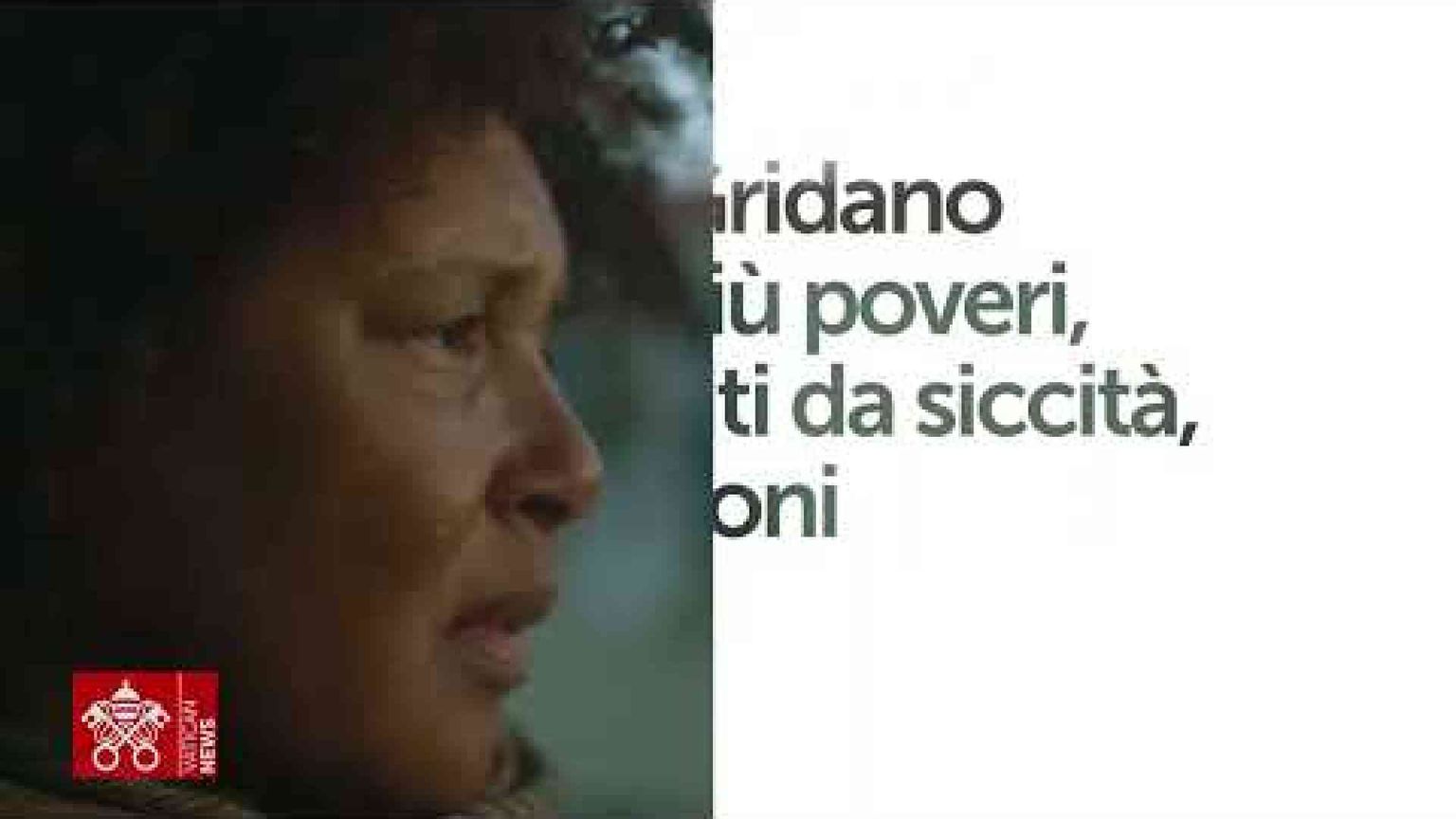 Messaggio del Papa: rispondiamo coi fatti al “grido amaro” della Terra