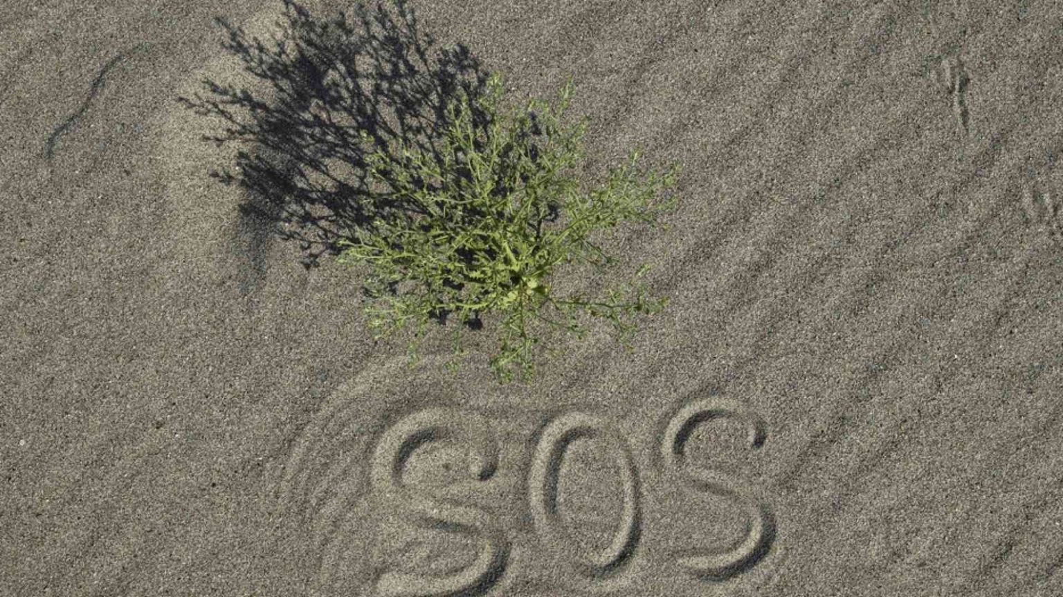 Perdura la siccità, «come figli chiediamo a Dio il dono dell'acqua»