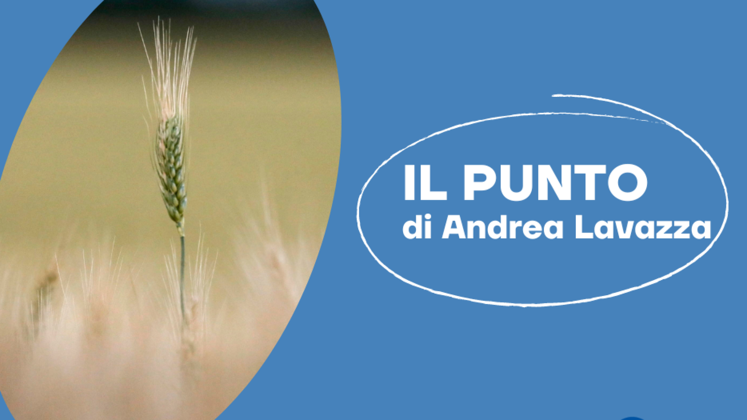Giorno 149: la svolta dell'accordo sul grano, ecco perché la Russia ha firmato