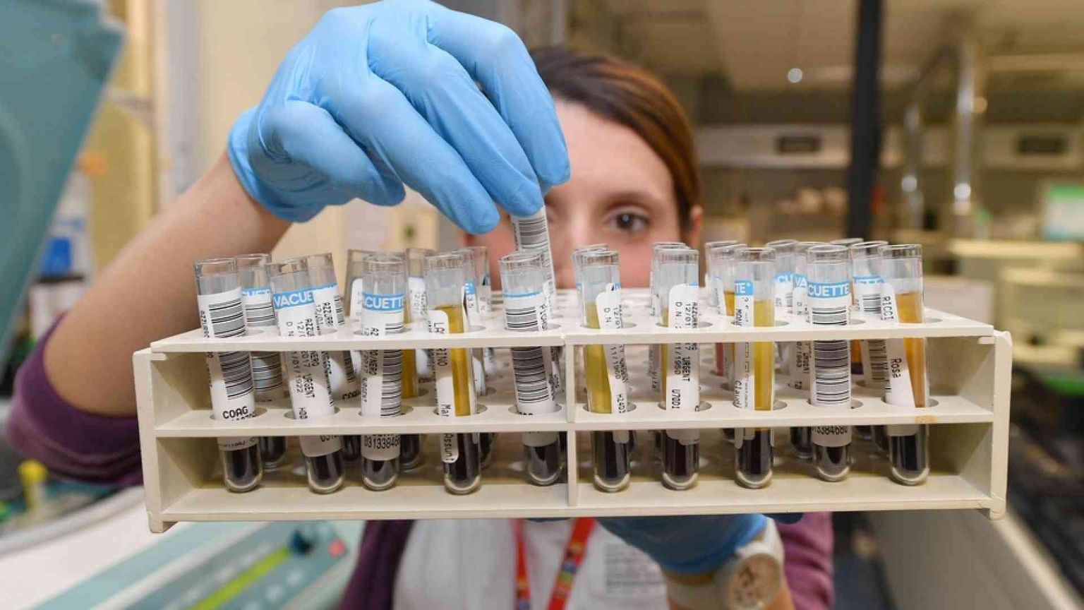 Fondi adeguati e assunzioni per dare un futuro alla ricerca