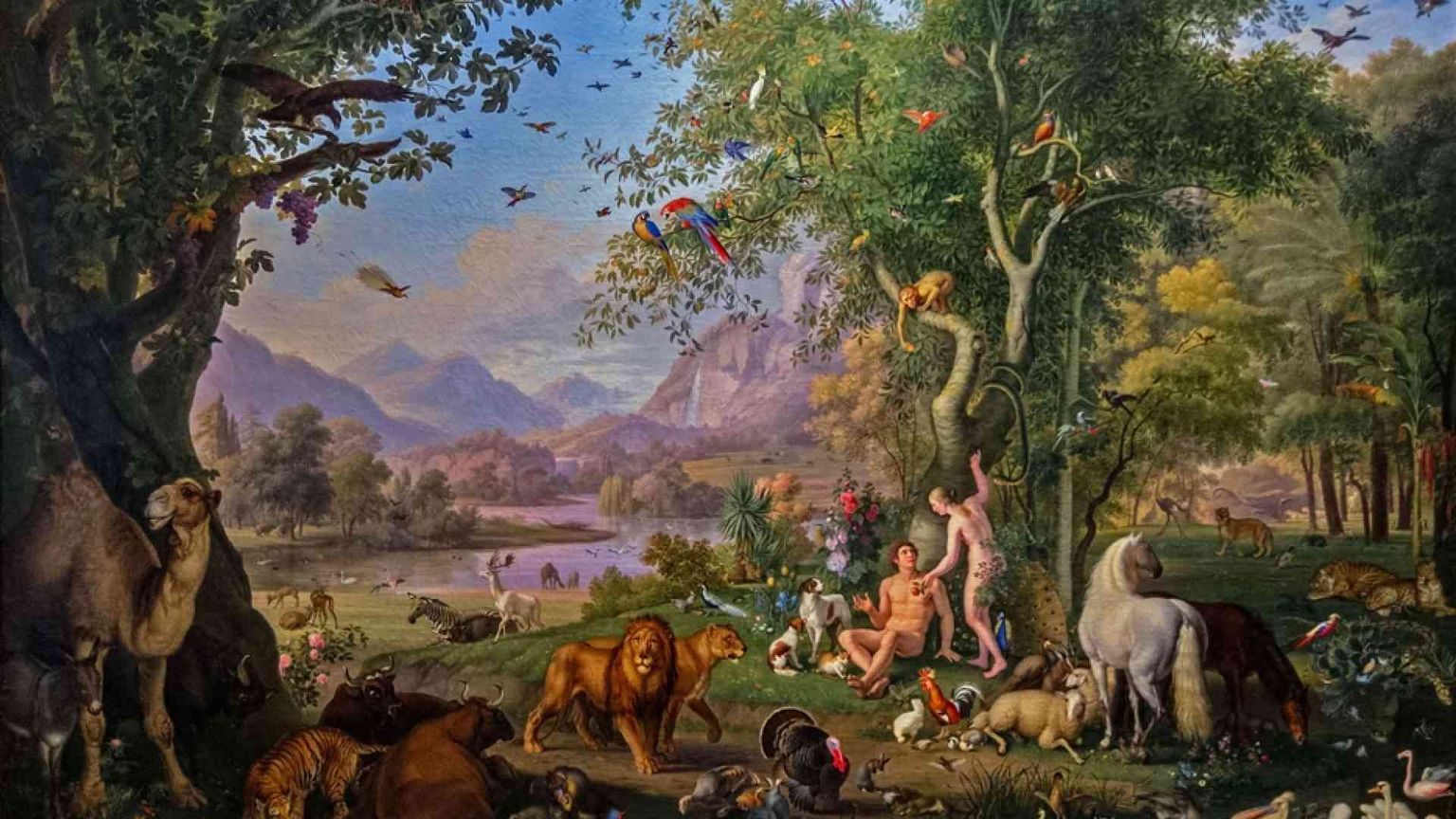 L'uomo nel mondo: verso un'etica della responsabilità