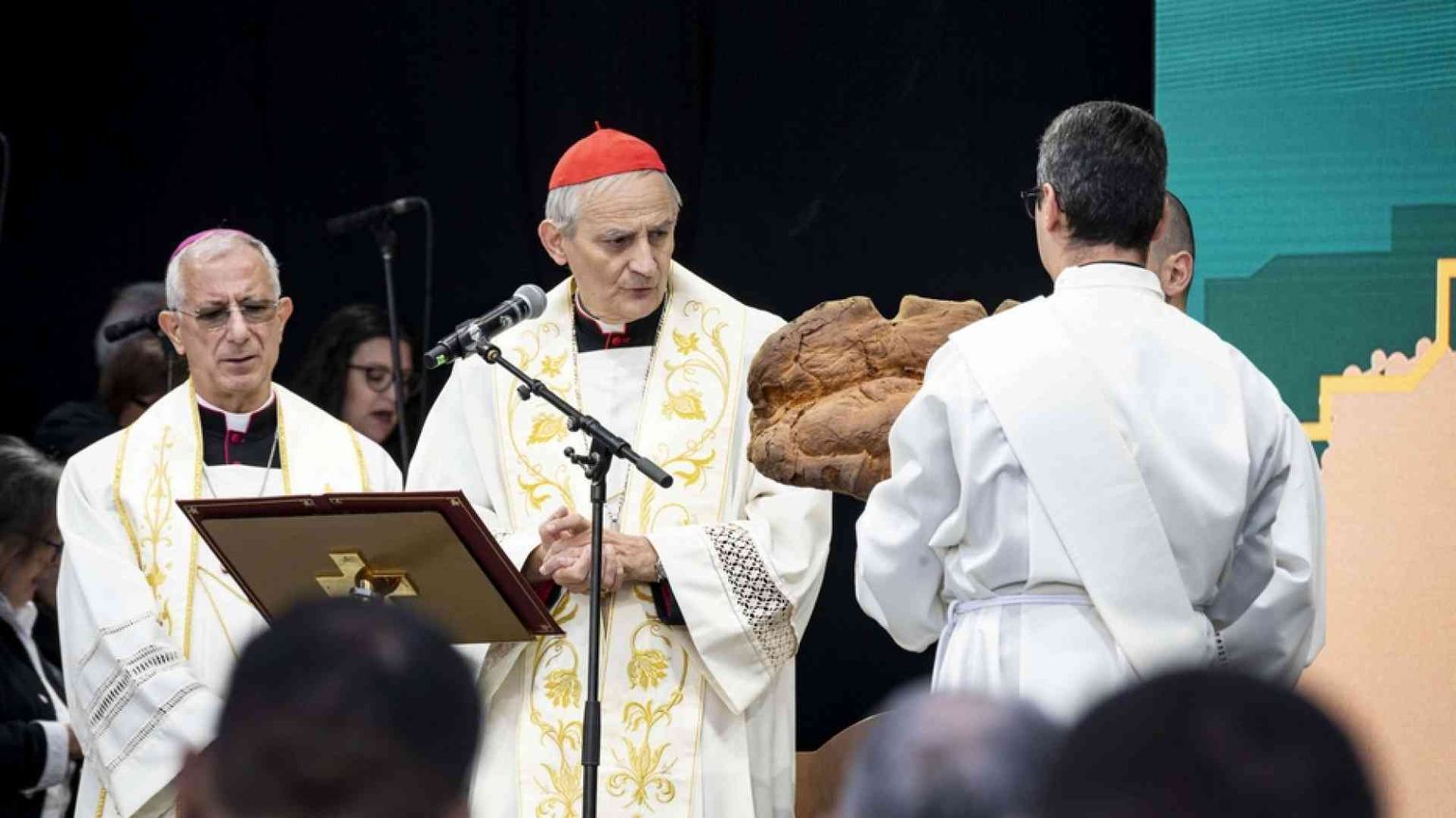 Una Chiesa che ha cura di fragilità e sofferenza