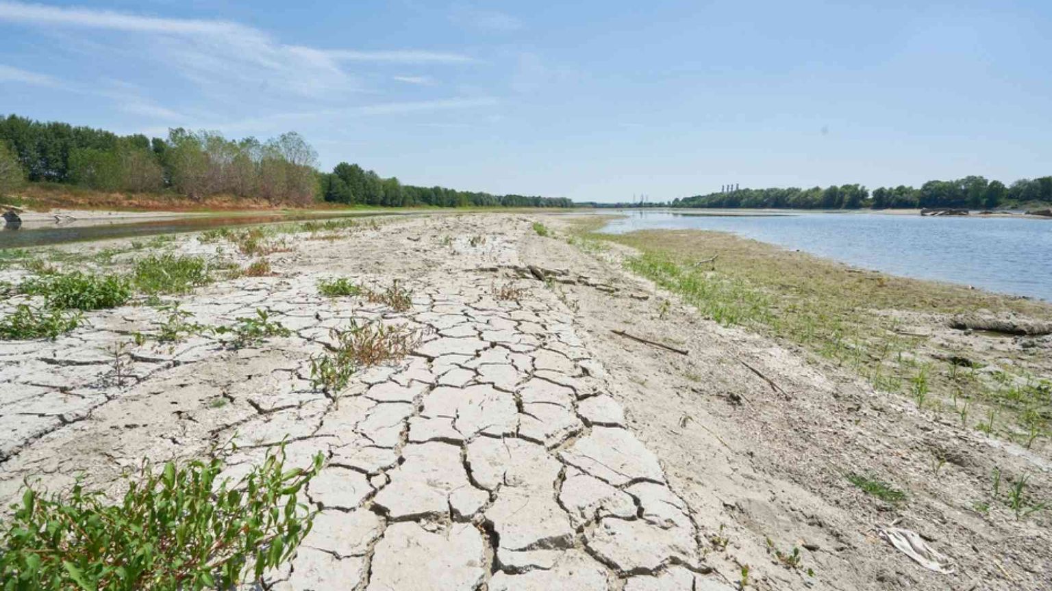 La sfida dell'antropocene: estendere la reciprocità alla terra profanata