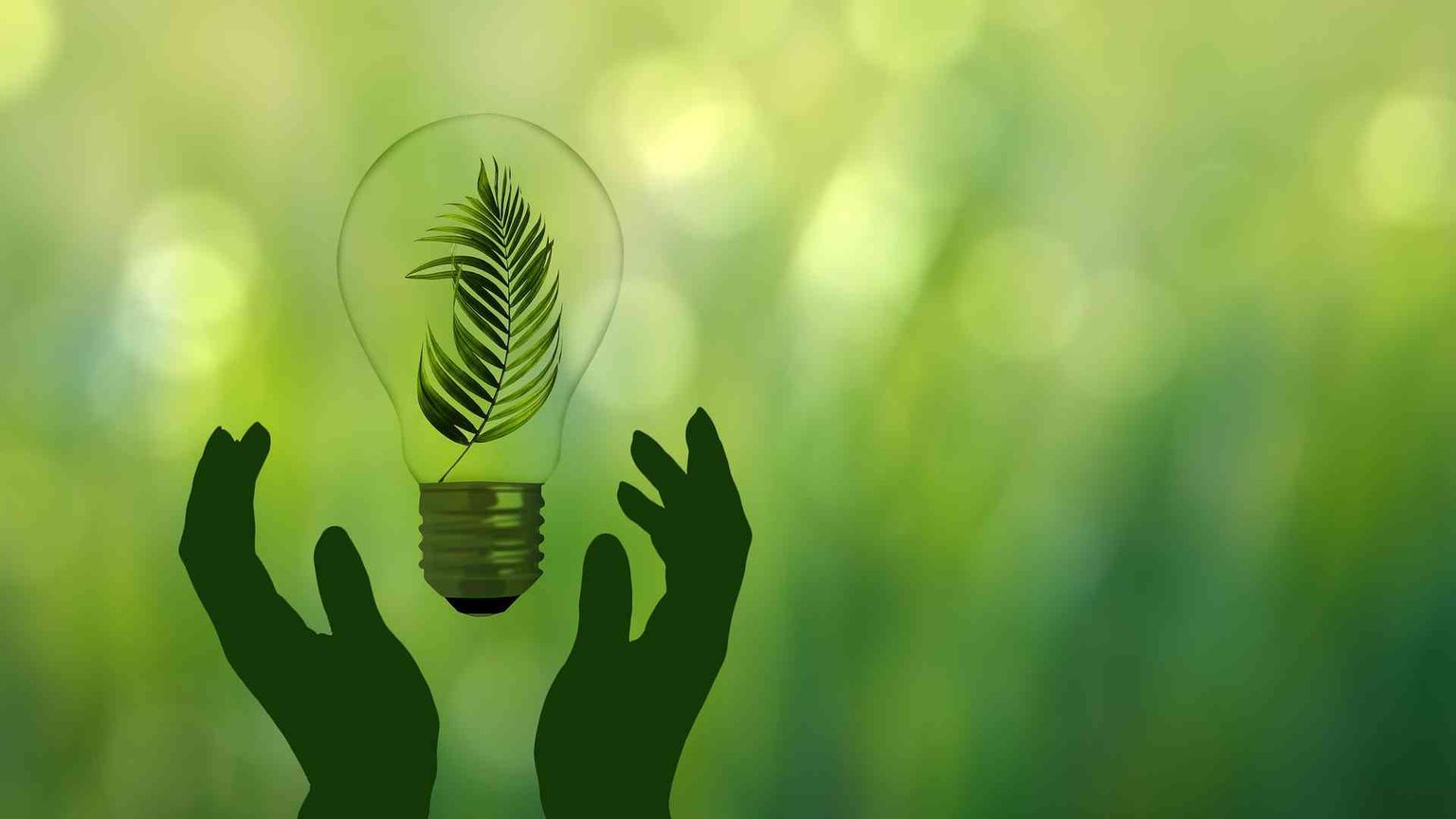 Le aziende cercano manager specializzati nella transizione ecologica