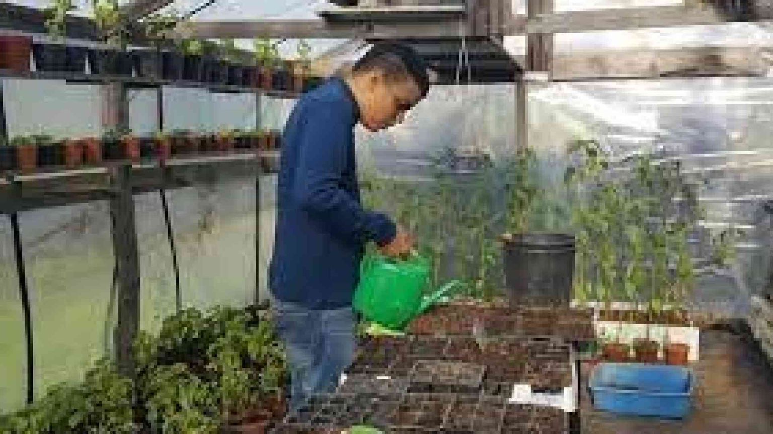 Incentivi a chi assume lavoratori con disturbi autistici