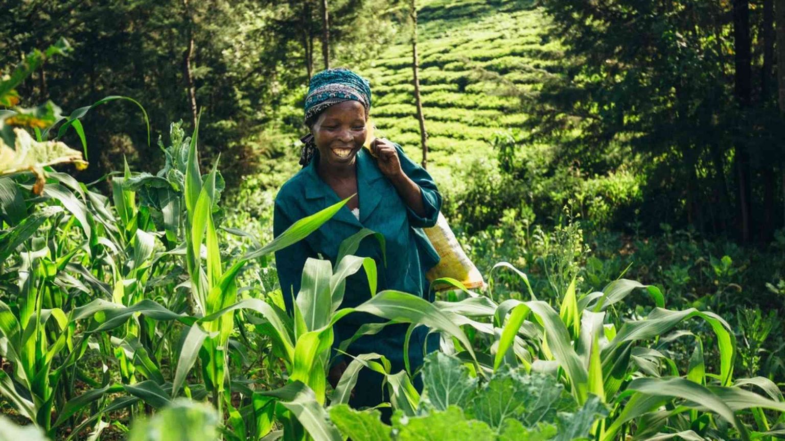 Pianeta terra, è allarme rosso. «Più foreste per salvare l'umanità»