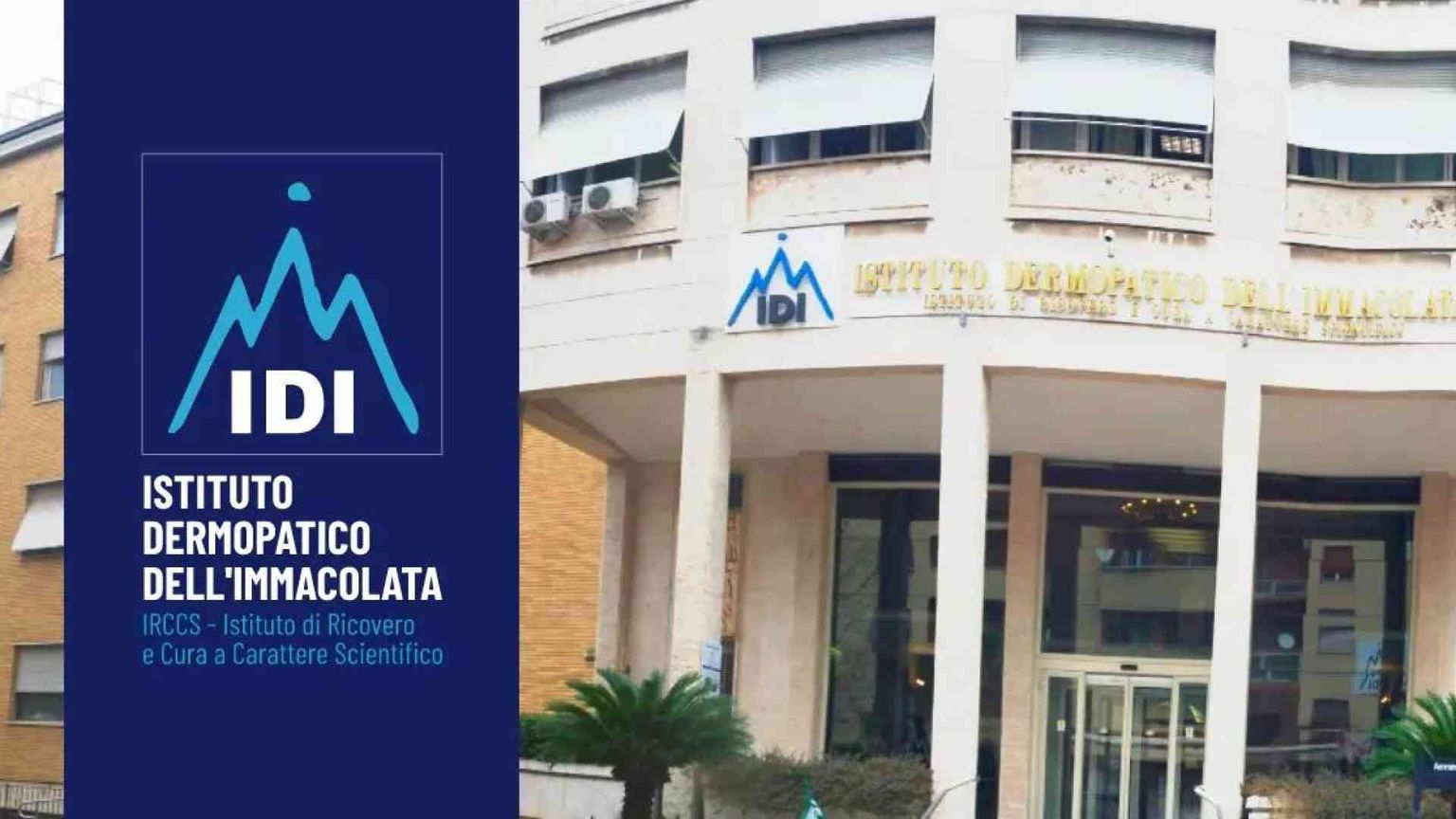 Idi, nuove tecniche chirurgiche nell’interventistica vascolare