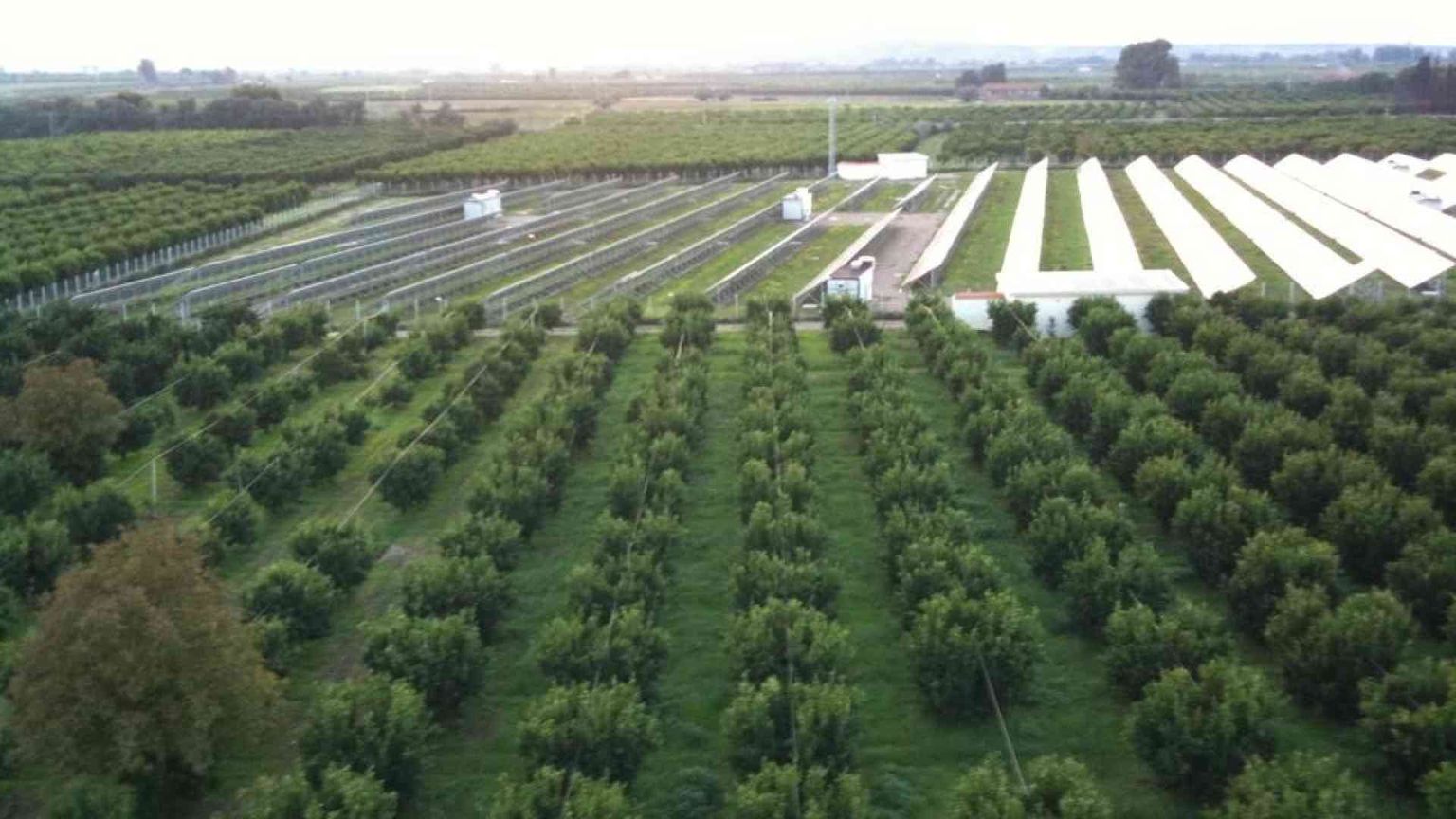 La semina (e le incognite) del fotovoltaico nei campi italiani