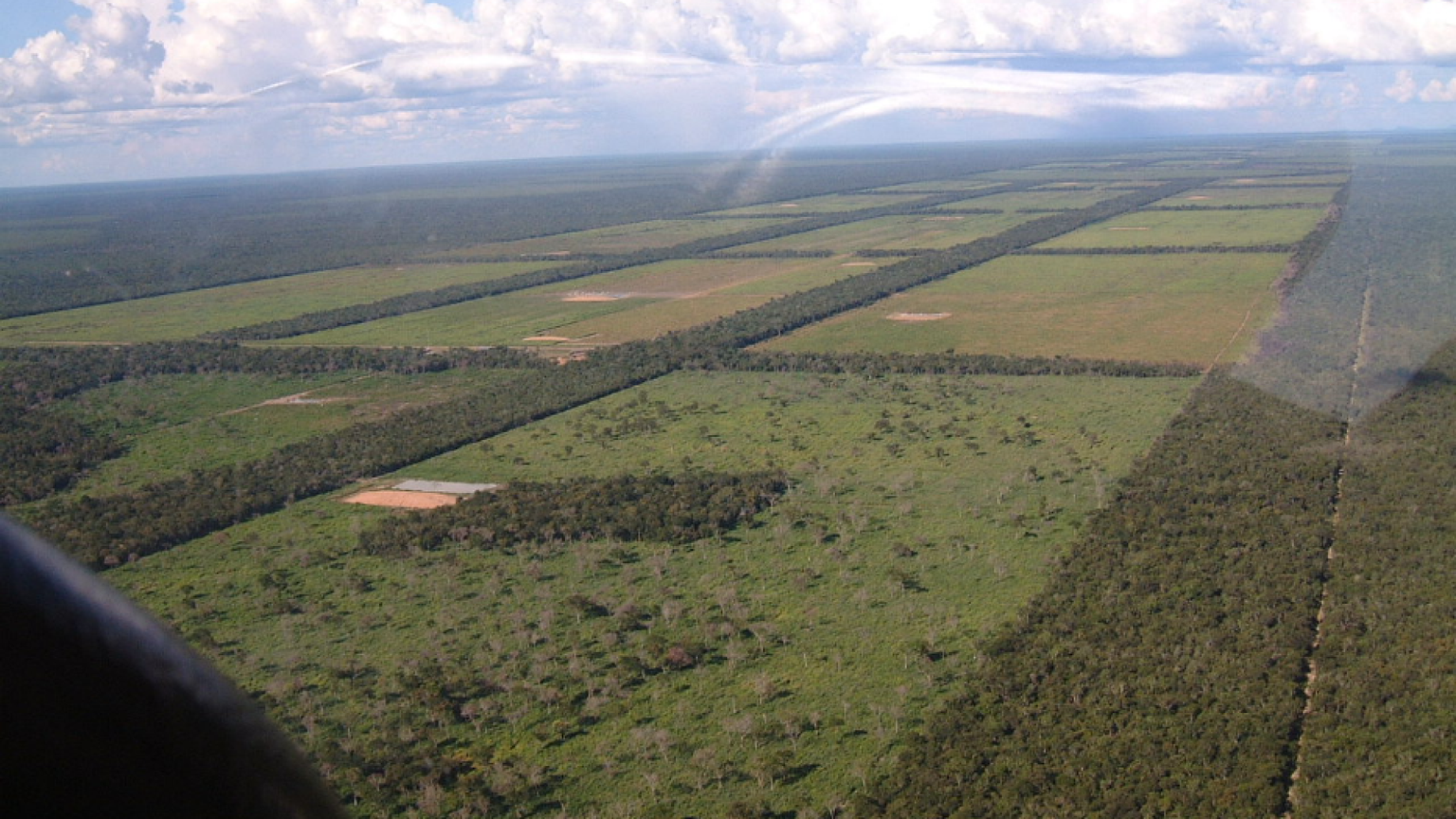 In Sudamerica un'altra Amazzonia «divorata» dalla soia transgenica