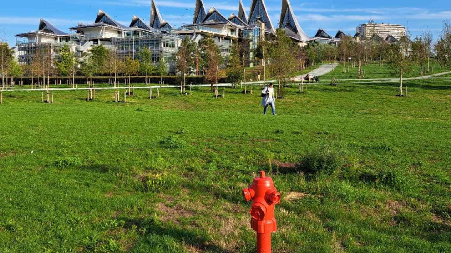 La nuova Anversa sul fiume sceglie l'estetica sostenibile