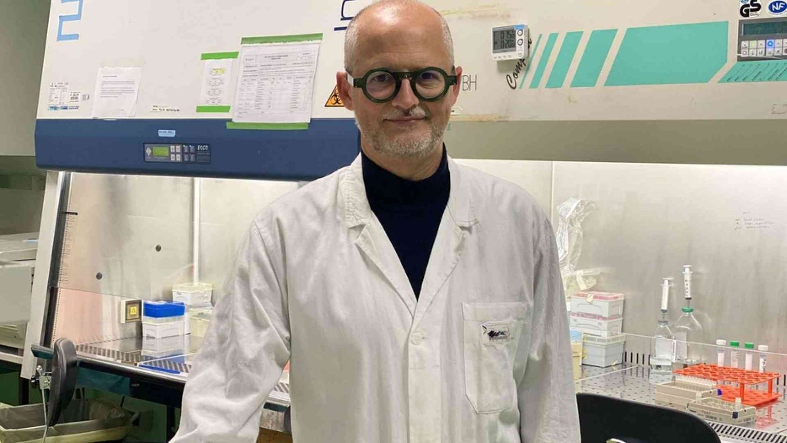 Contro il diabete arrivano i farmaci "viventi"