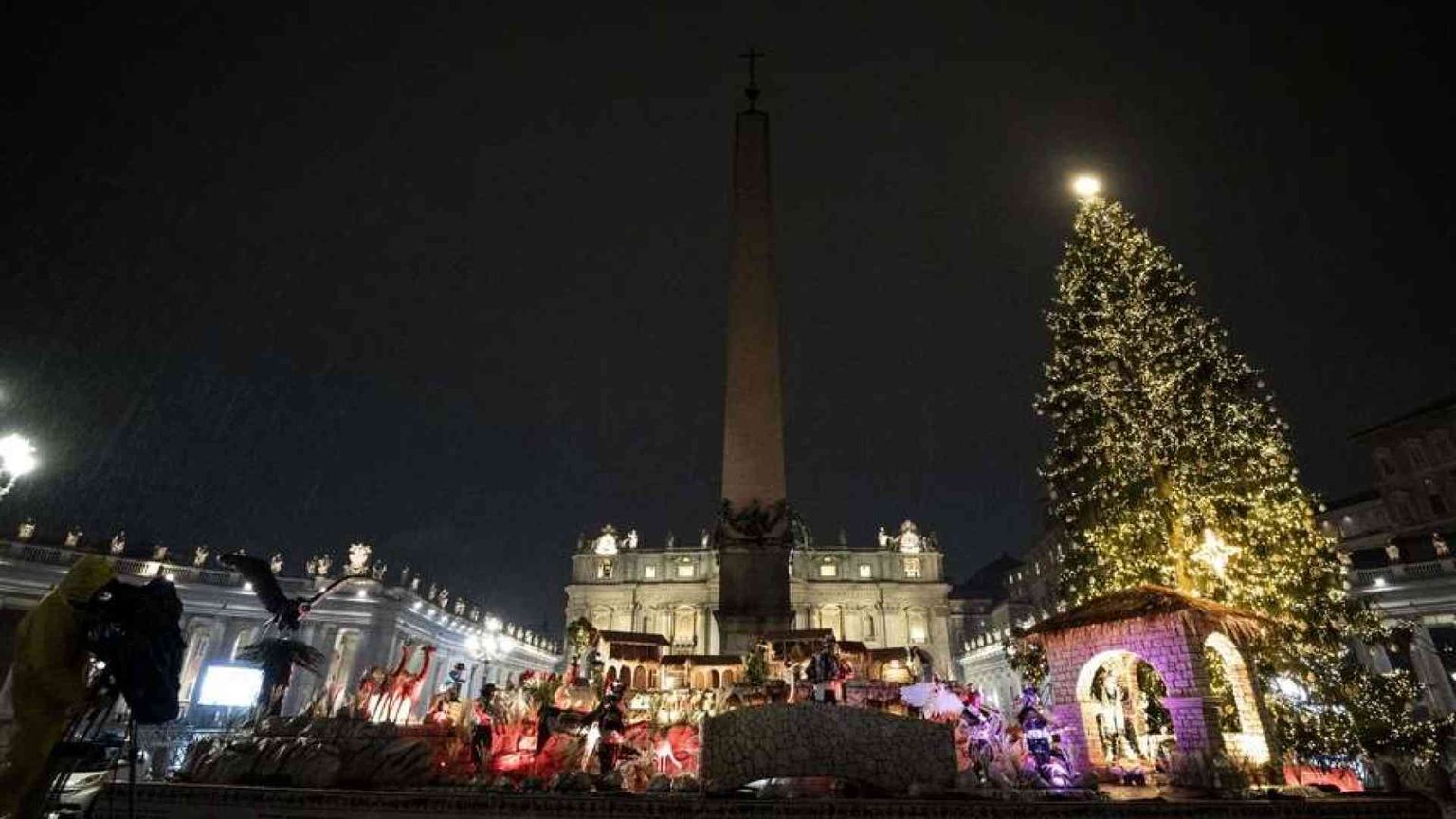 Verrà da un vivaio non da un bosco naturale l'albero di Natale in Vaticano