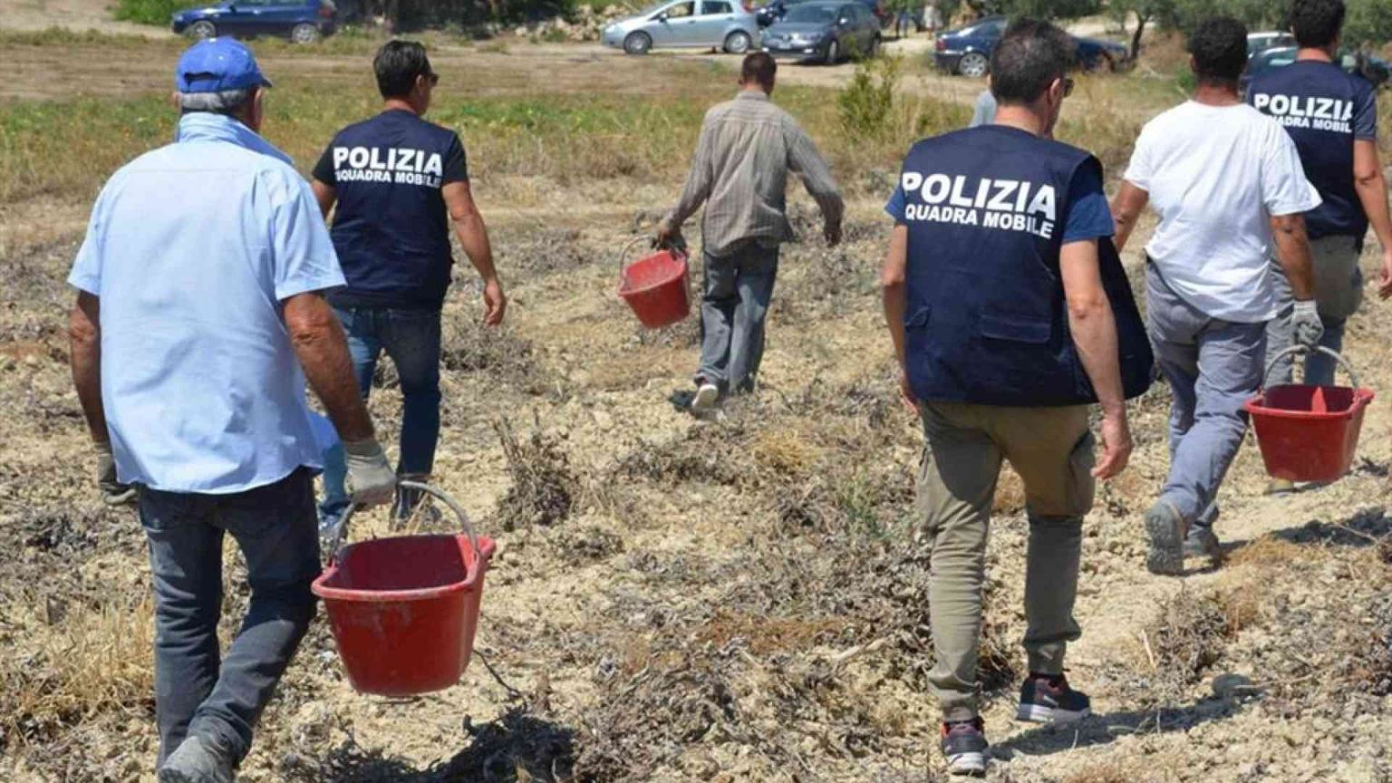 Anche l'agricoltura diventa più tecnologica e sostenibile