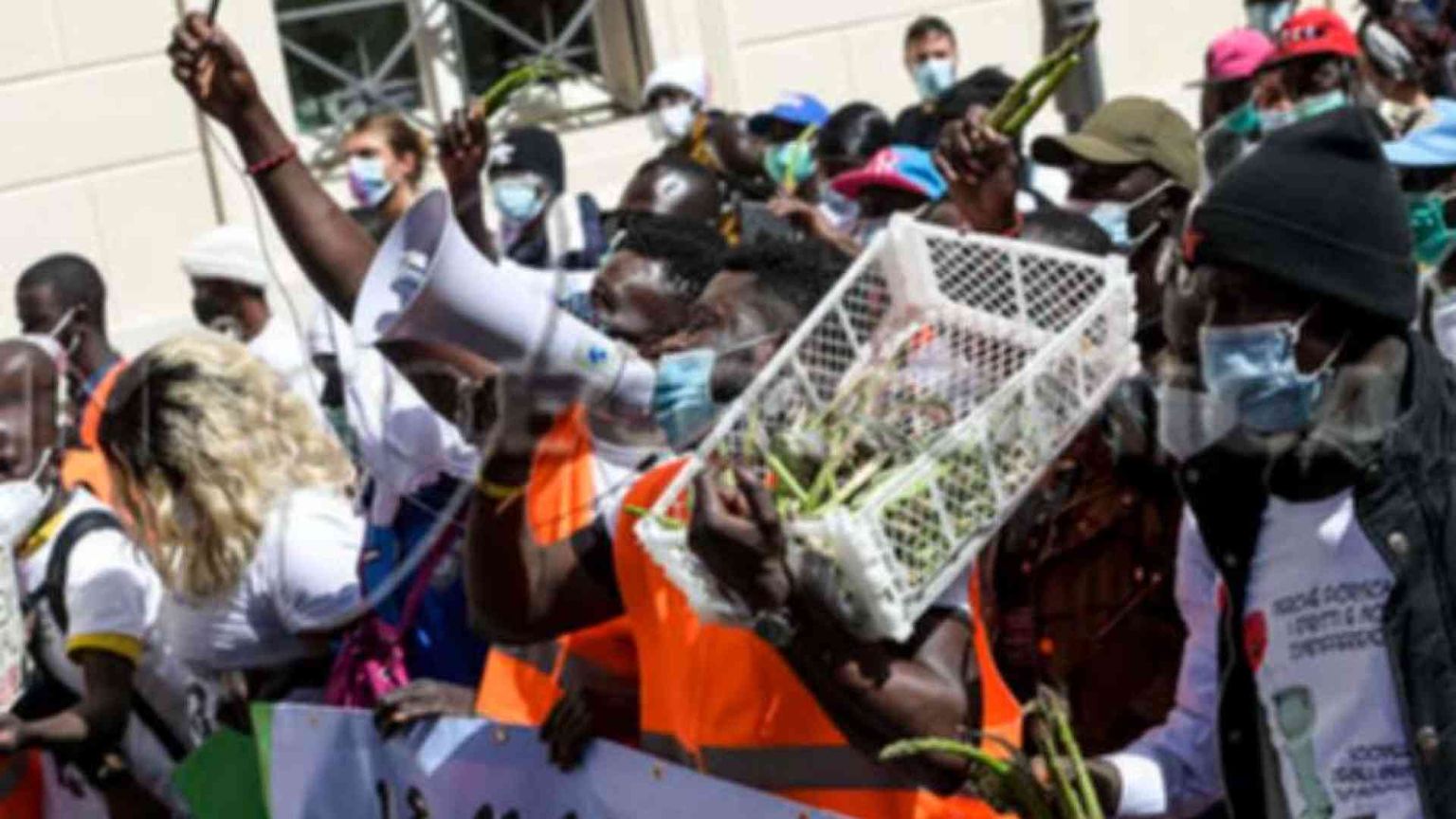 Caporalato: salite a 230mila le vittime dello sfruttamento