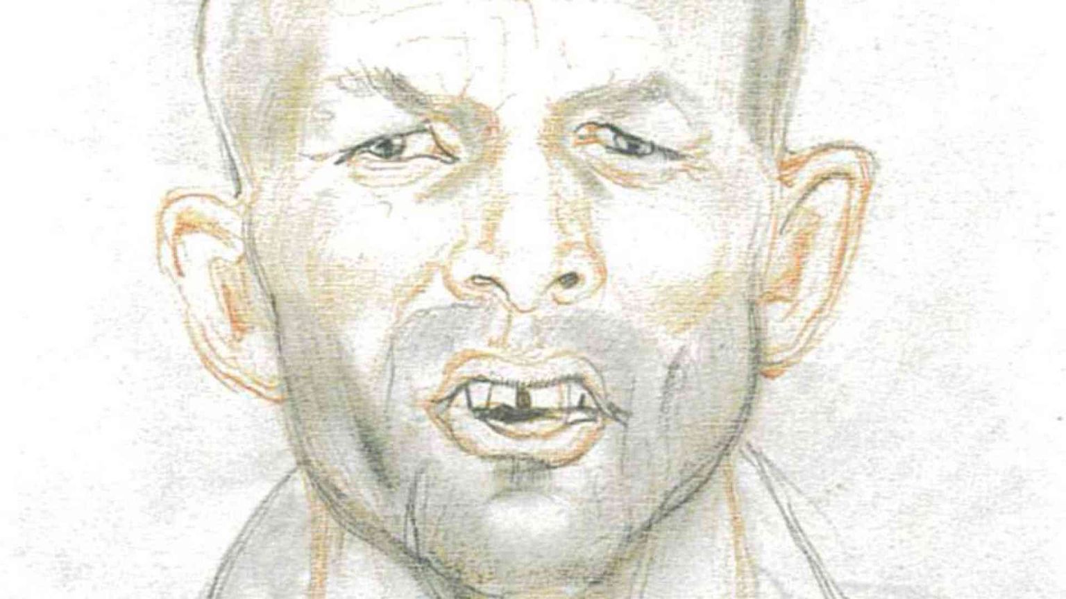 La nave dei folli contro la borsa delle artistar