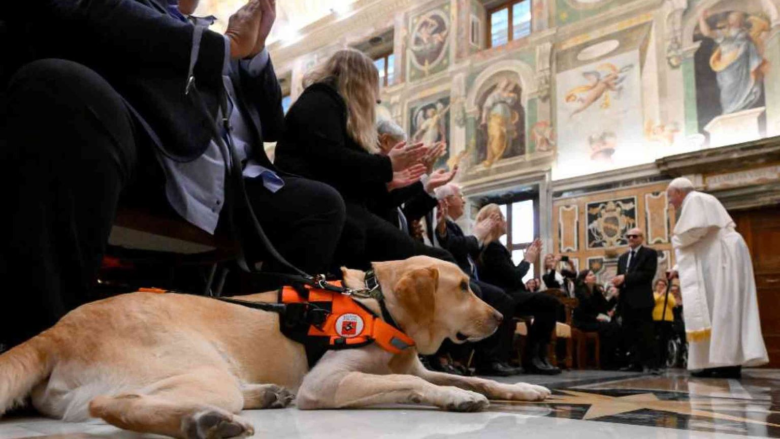 Il Papa: no al pietismo verso i disabili