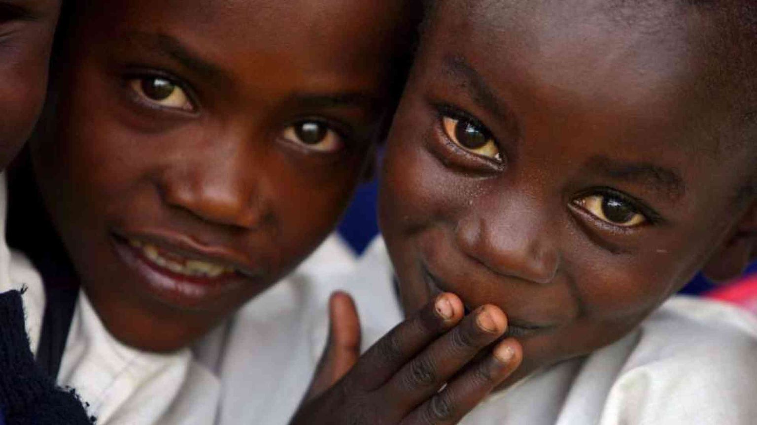 Stop alla pornografia del dolore