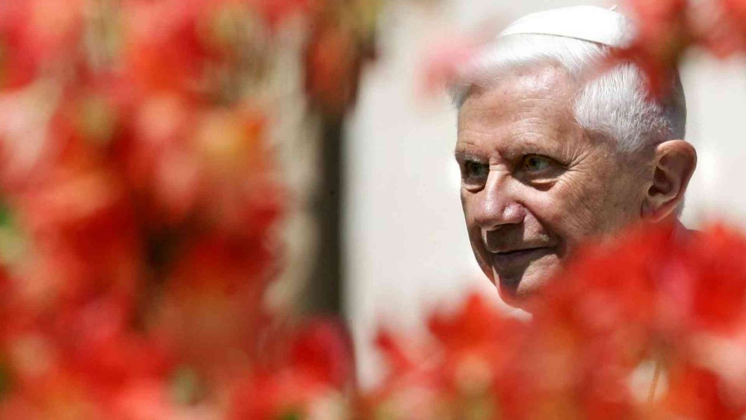 Ecco il testamento spirituale di Benedetto: «Grazie a Dio e famiglia»