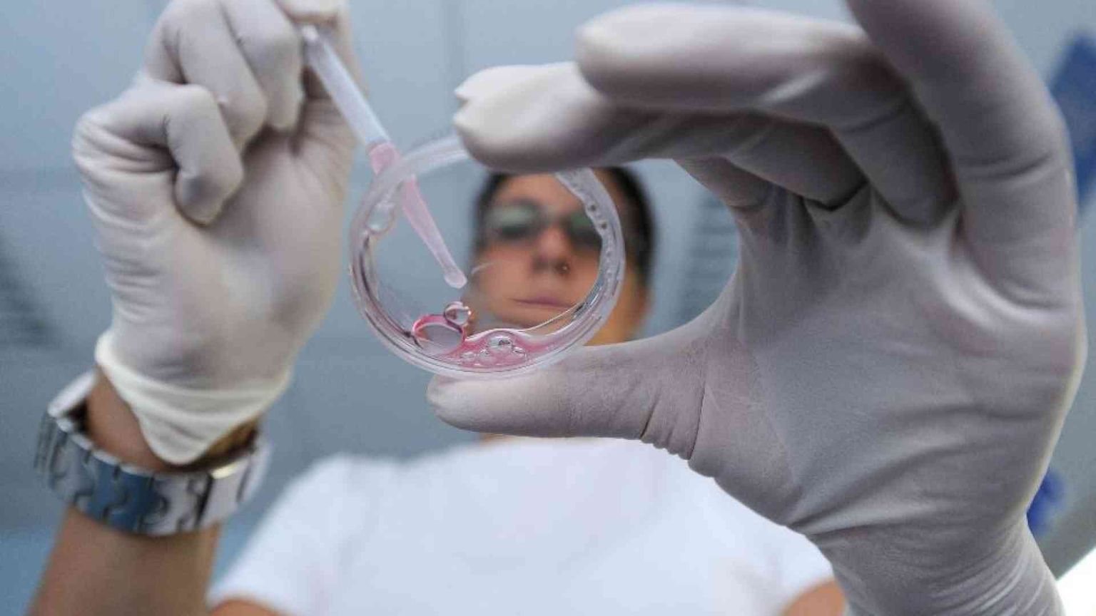 La guerra riempie le banche del seme: congelata la generazione post-conflitto