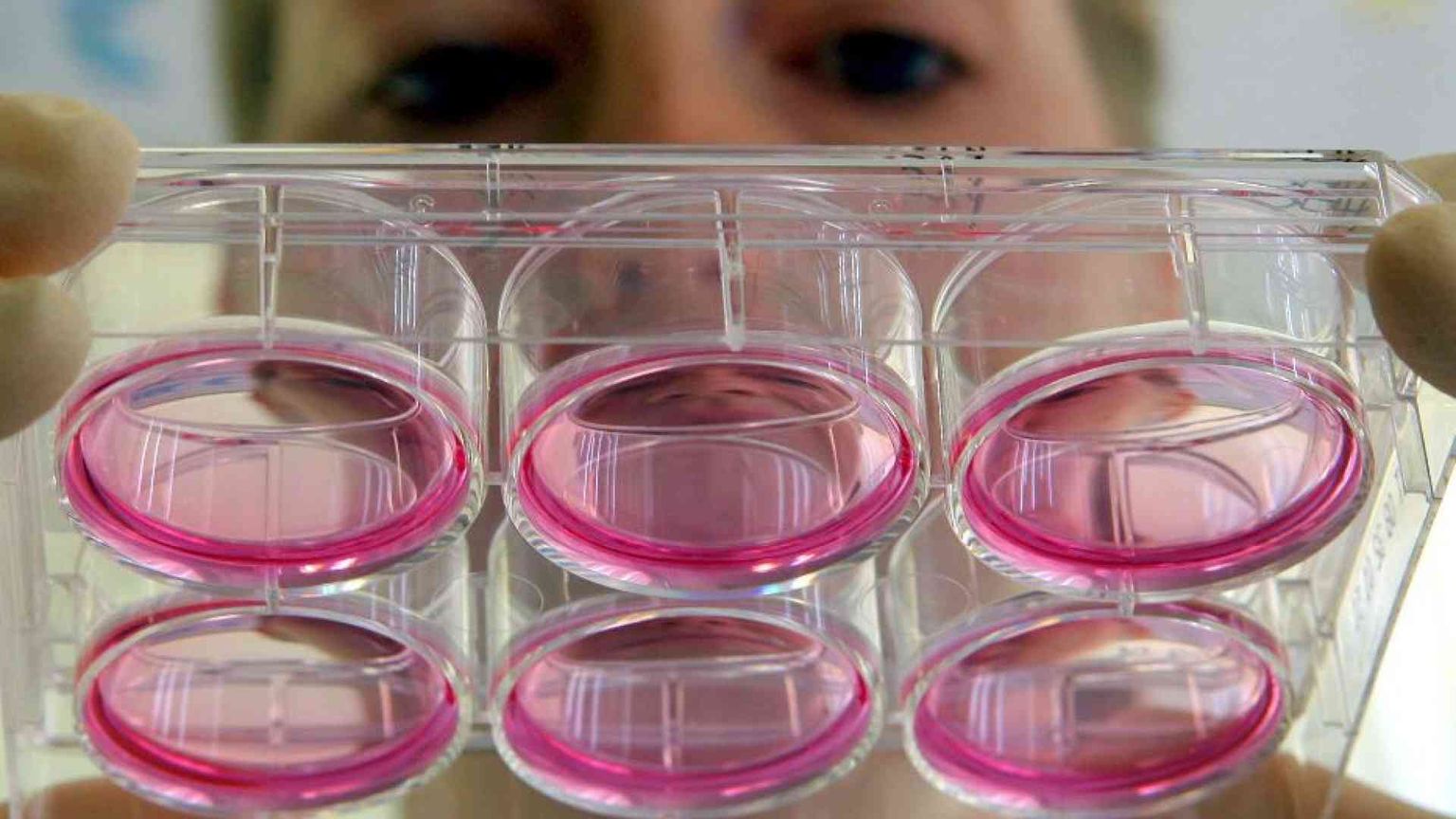 Vita, povertà e mercato dei farmaci: tre sfide per il Comitato di bioetica