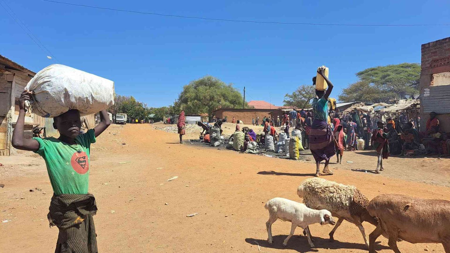Don Vittorione, eredità d'amore