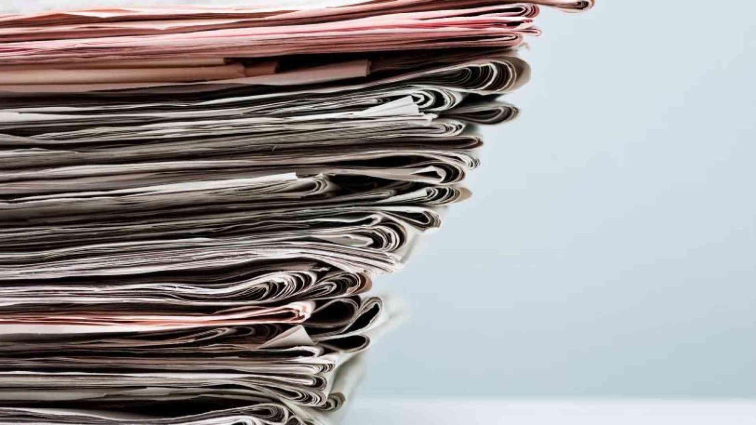 Dibattito pubblico, se anche le news sono un panda da tutelare