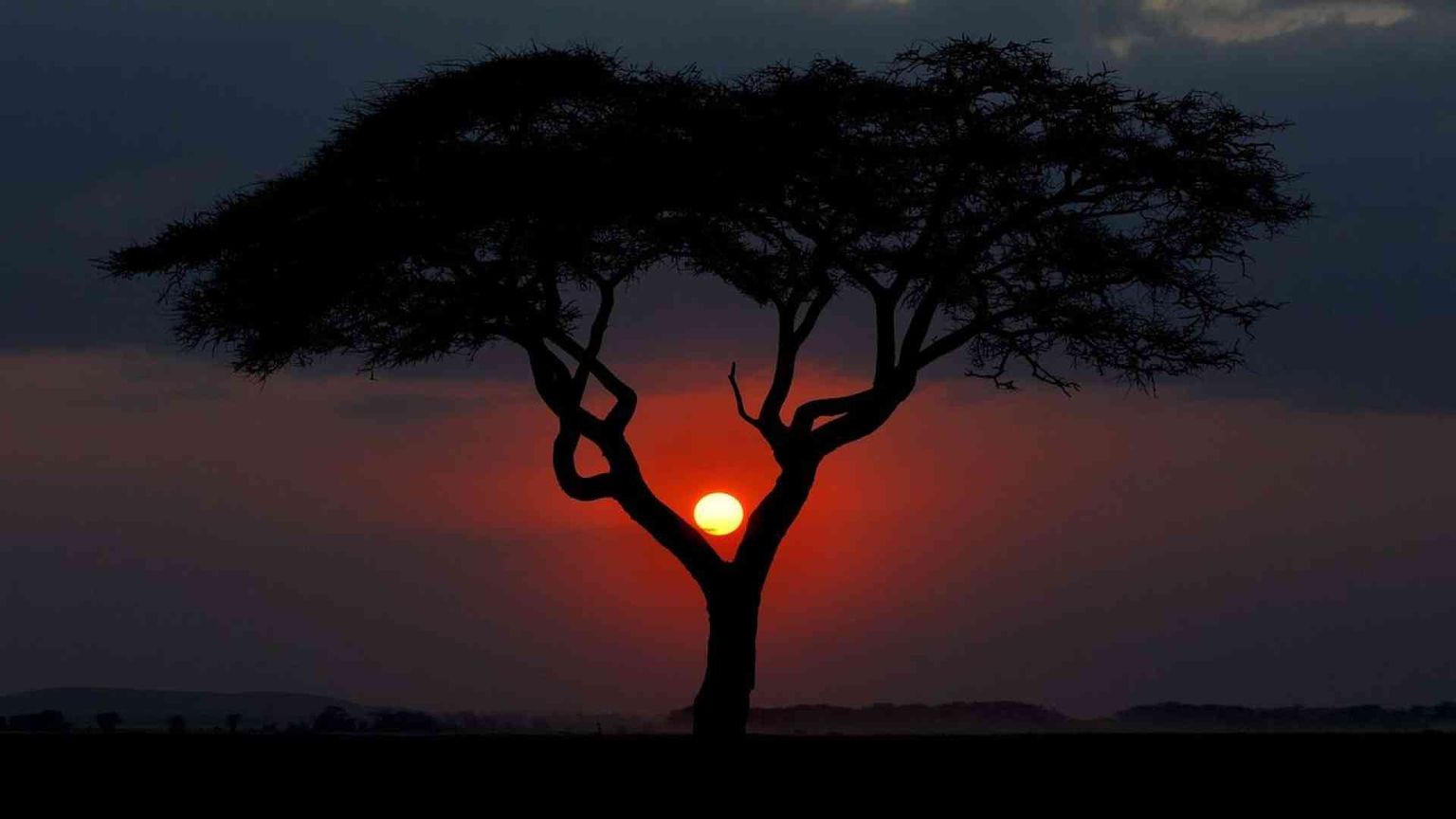 Addio a Franco Rosso: con lui gli italiani scoprirono il turismo in Africa