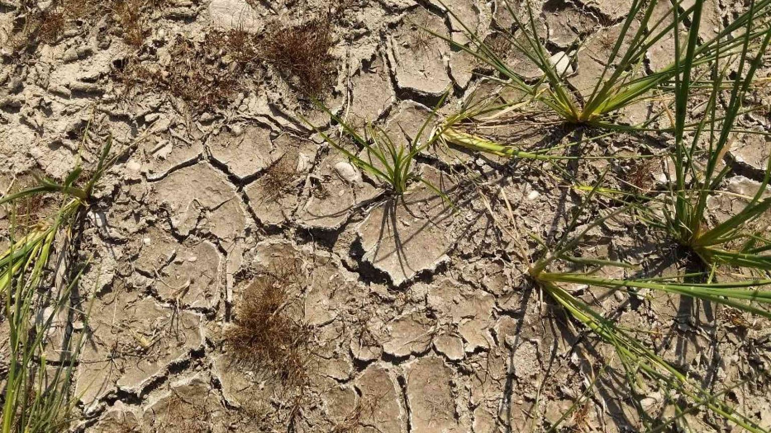 I contadini in rivolta Guerra dell'acqua in Pianura Padana