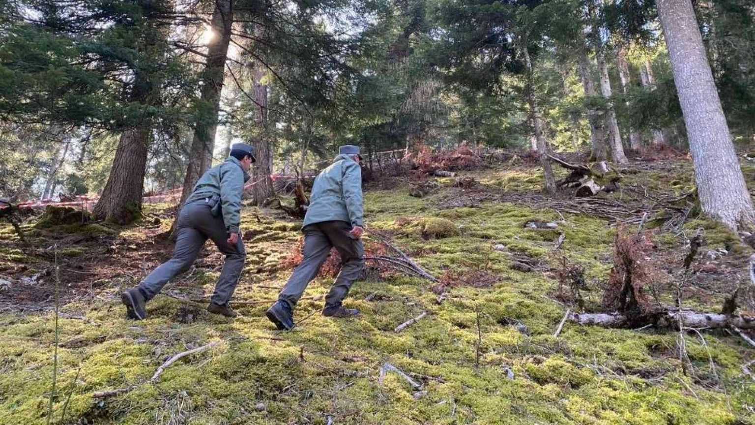 Andrea Papi, il runner trovato morto nel bosco. «Forse ucciso da un orso»