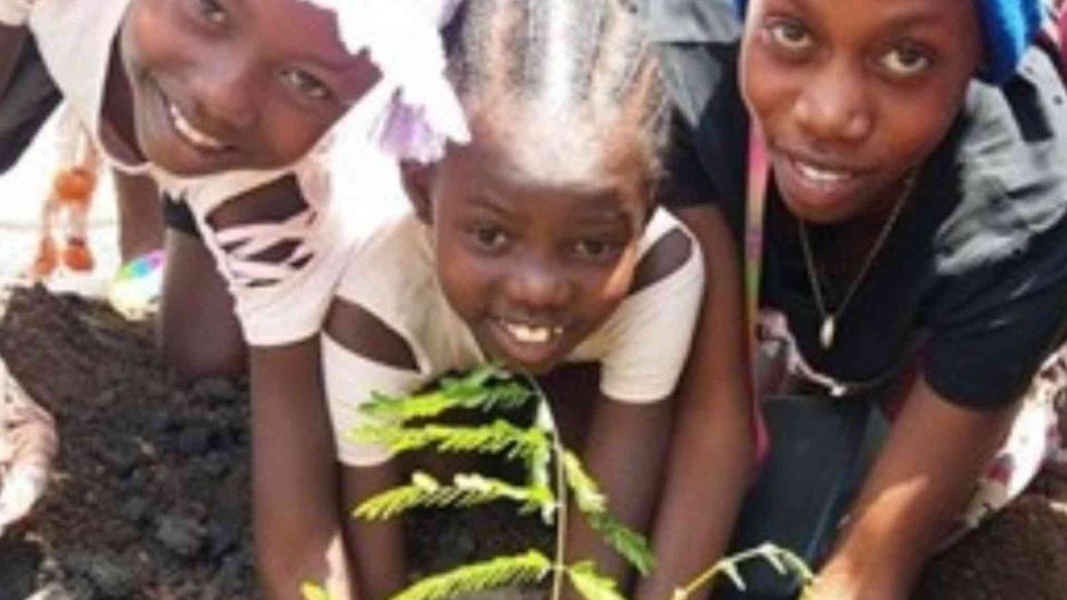 Salvaguardia del creato: le 9 raccomandazioni delle suore superiori generali