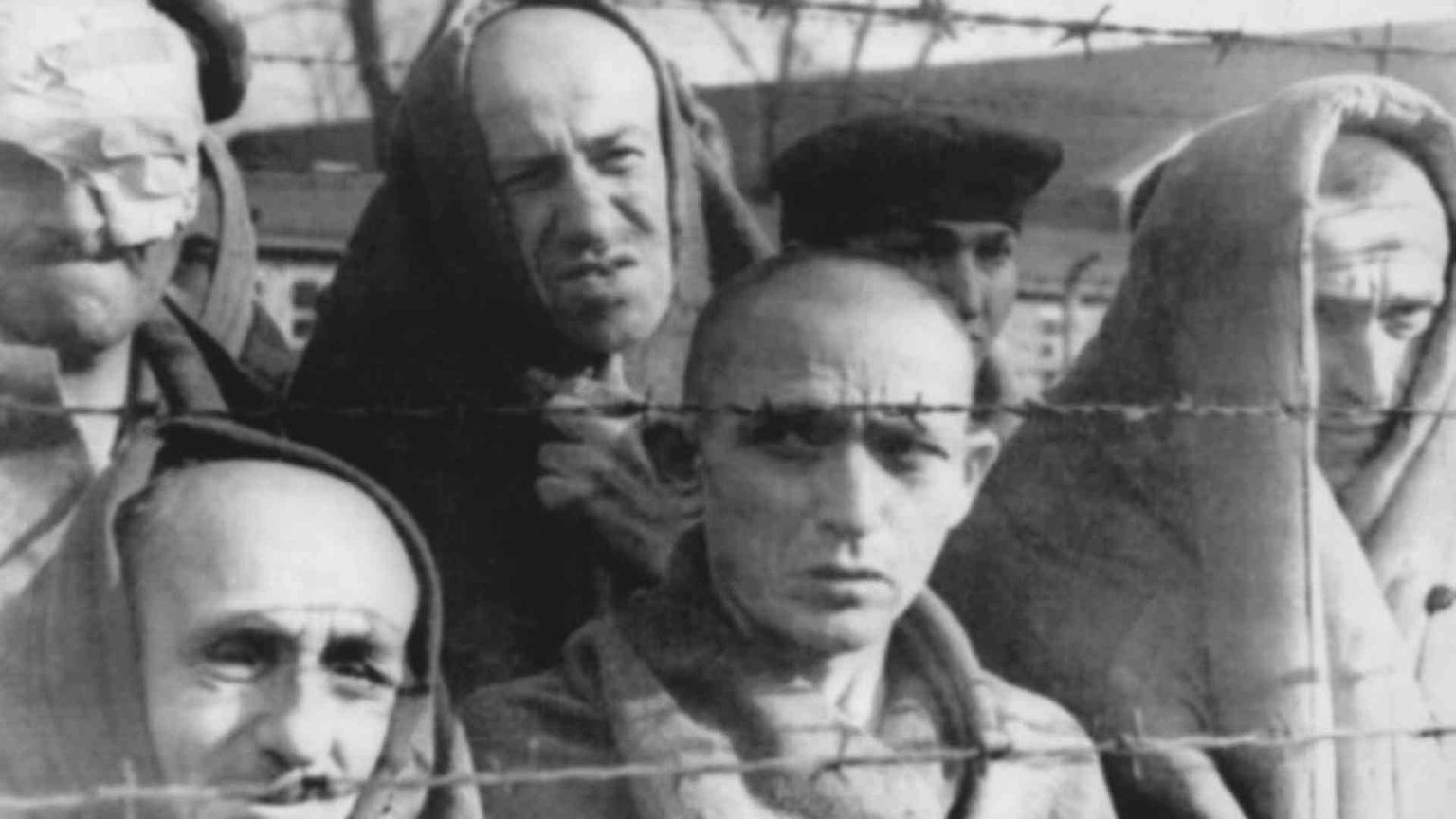 Perché il dolore? L'eterna domanda che inquieta la fede