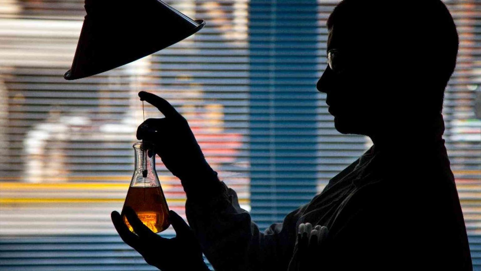 «Le offerte delle aziende sono pessime». Sì, ma non si rimane a casa