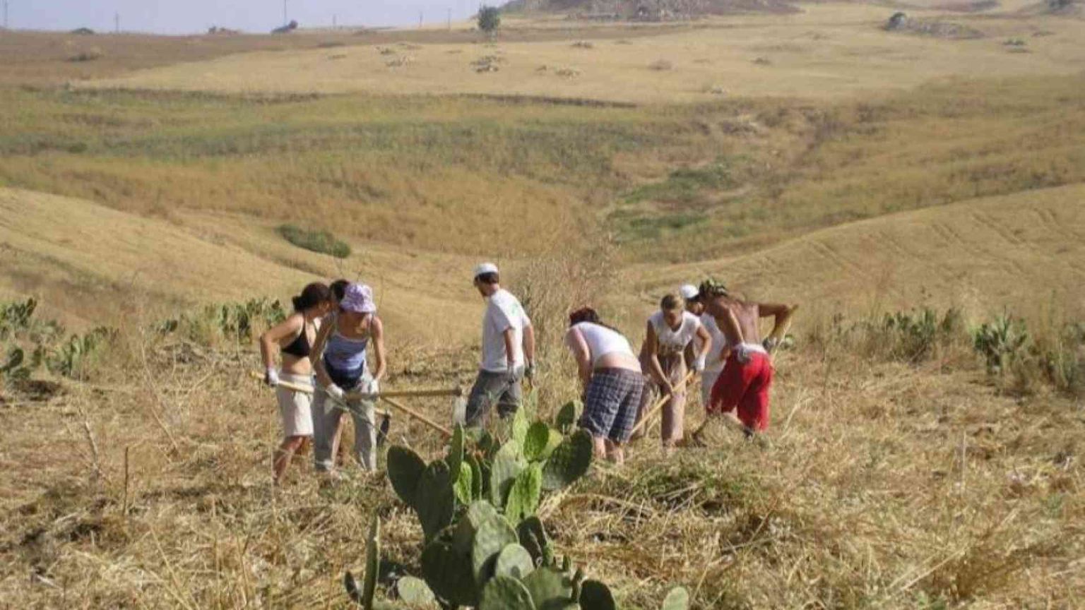 La Cei: in campo agricolo lo stile cooperativo è via di sviluppo