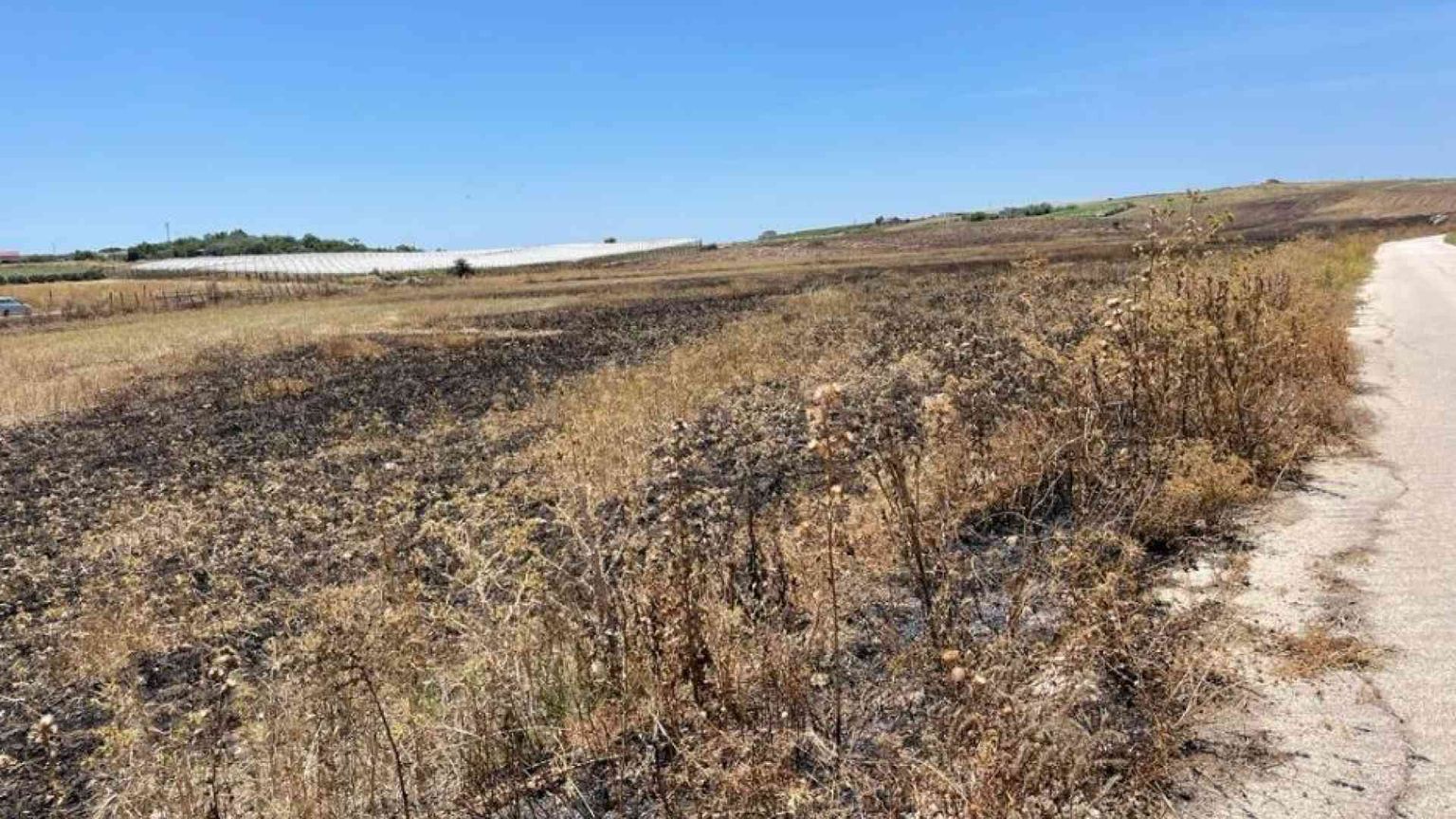 Coop "Livatino" di nuovo nel mirino: incendiati 30 ettari coltivati a grano