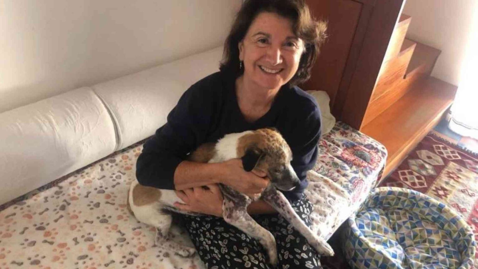 Cani e gatti anziché figli? Polemiche su Roccella, ma la questione è aperta