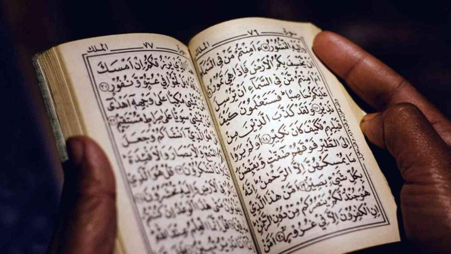 Il Papa: indignato per il rogo del Corano