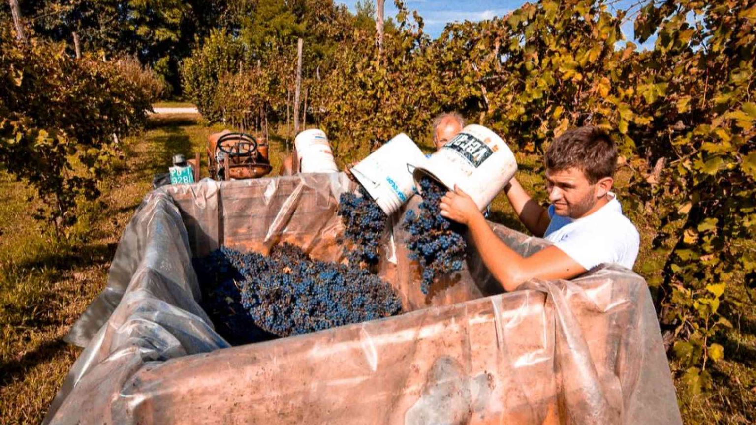 Salario minimo: chi lo propone, chi lo avversa e perché