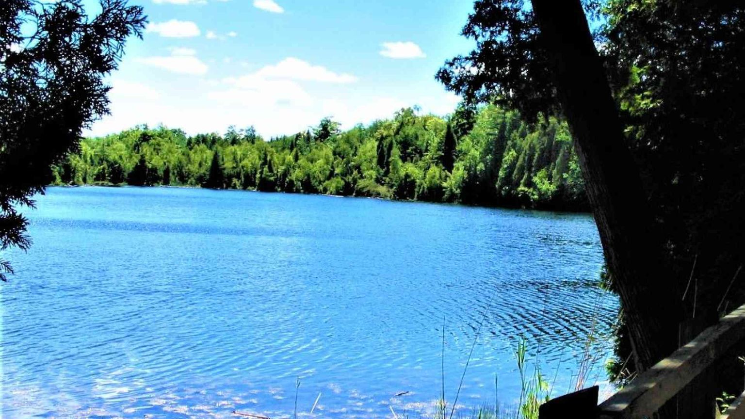 È il lago Crowford il sito di riferimento dell'Antropocene