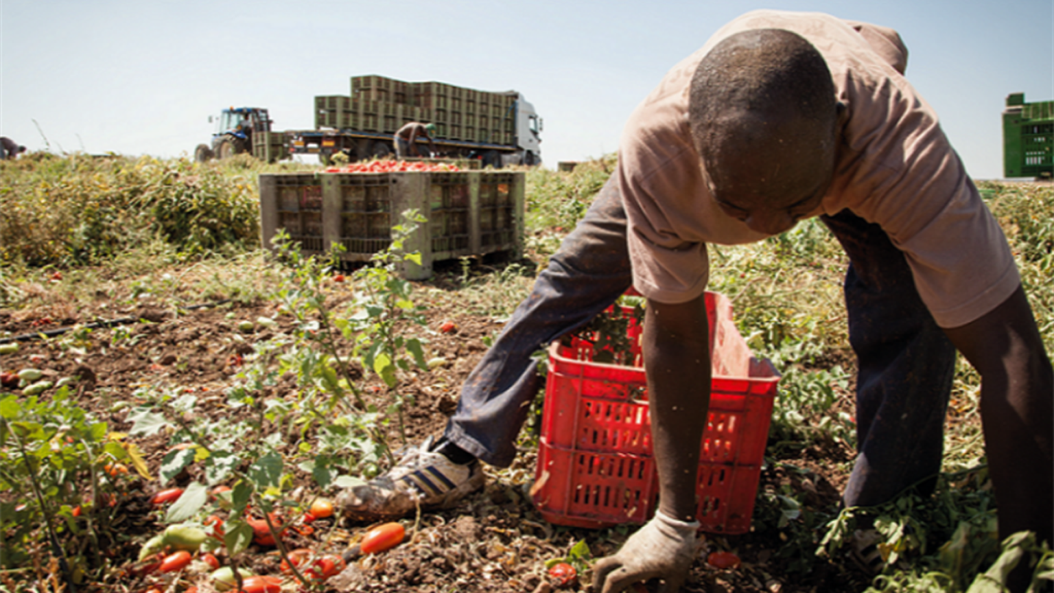 Tra nuovi ingressi e rispetto delle tutele