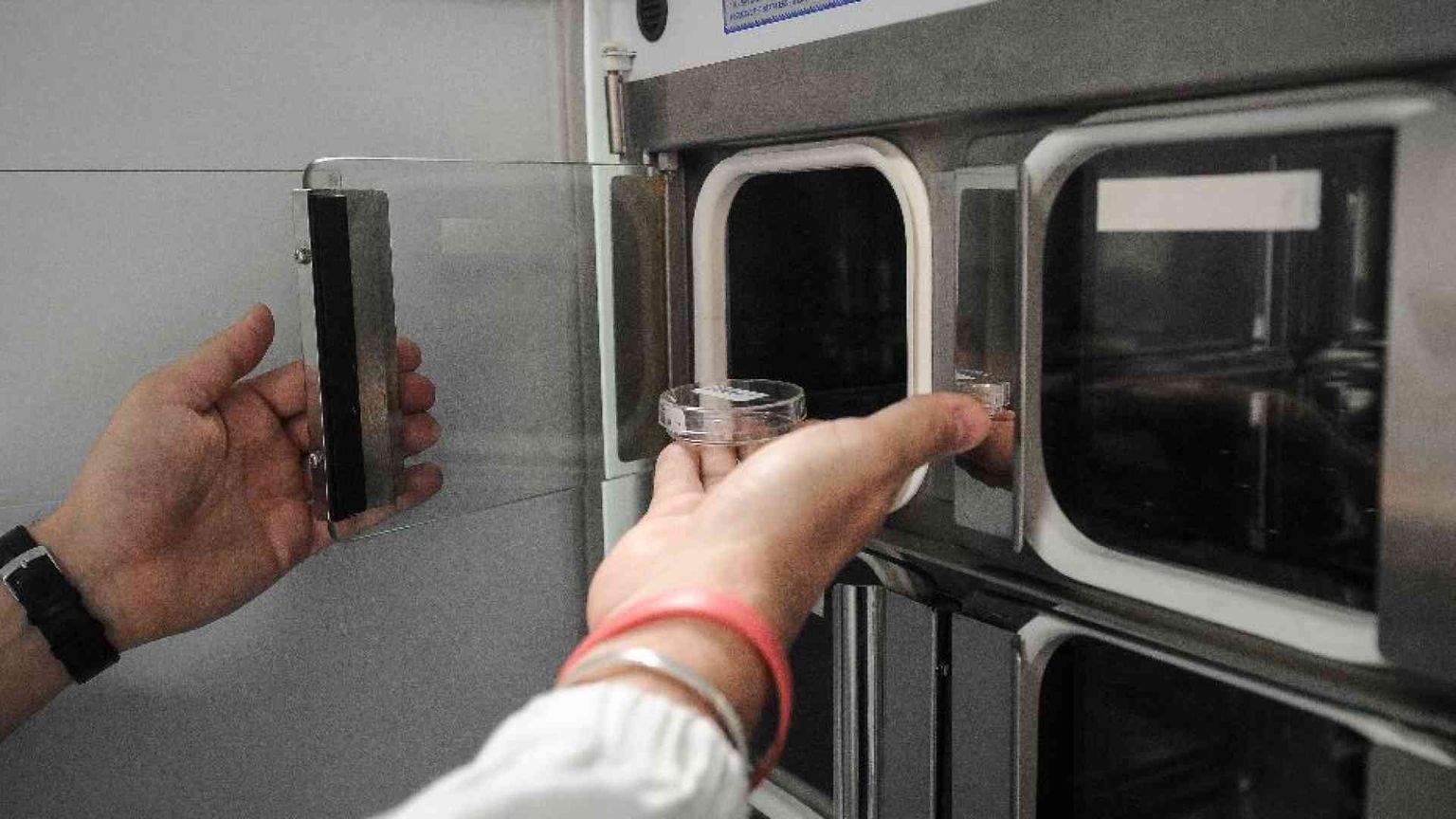 Procreazione assistita, l'uomo non può rifiutarsi di diventare padre