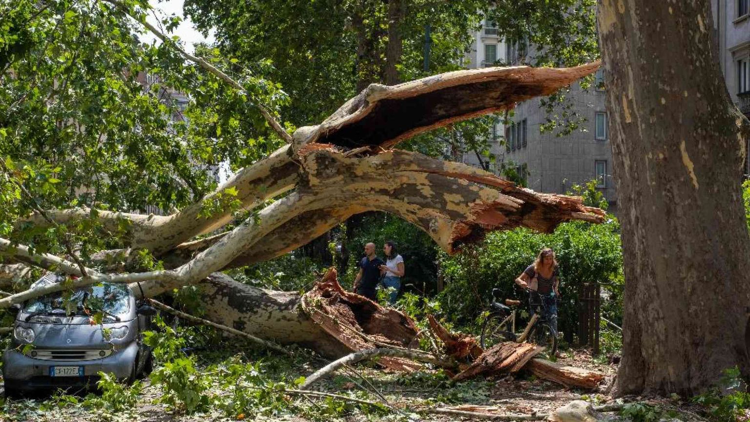 Tempesta su Milano. Alberi sradicati, auto distrutte, traffico in tilt