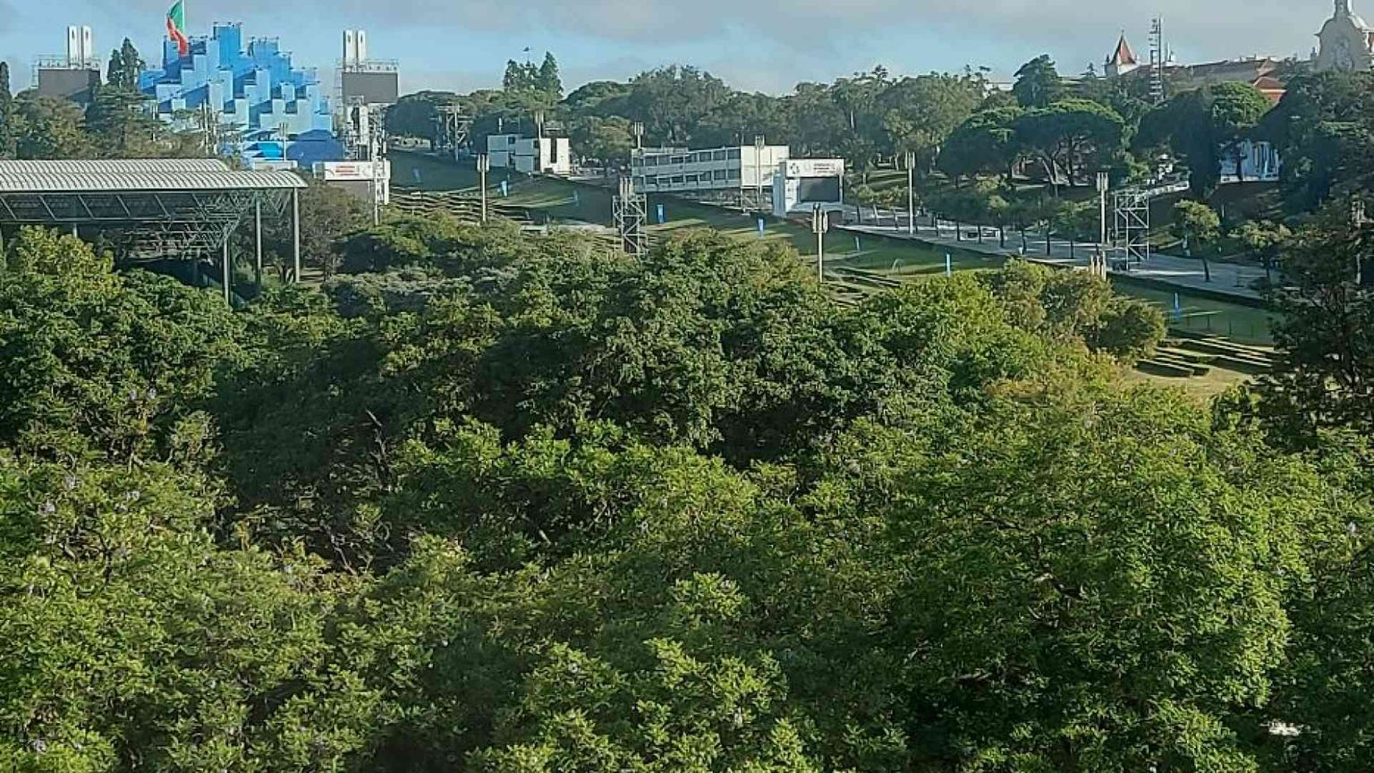 Piantare alberi in tutto il mondo: la challenge per rendere la Gmg sostenibile