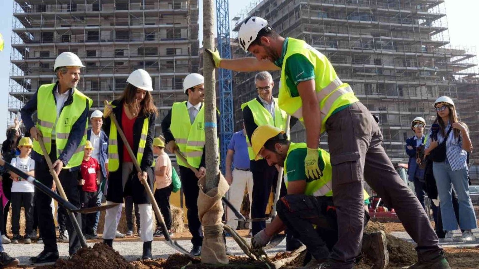 Sala: "Ripianteremo 5mila alberi"