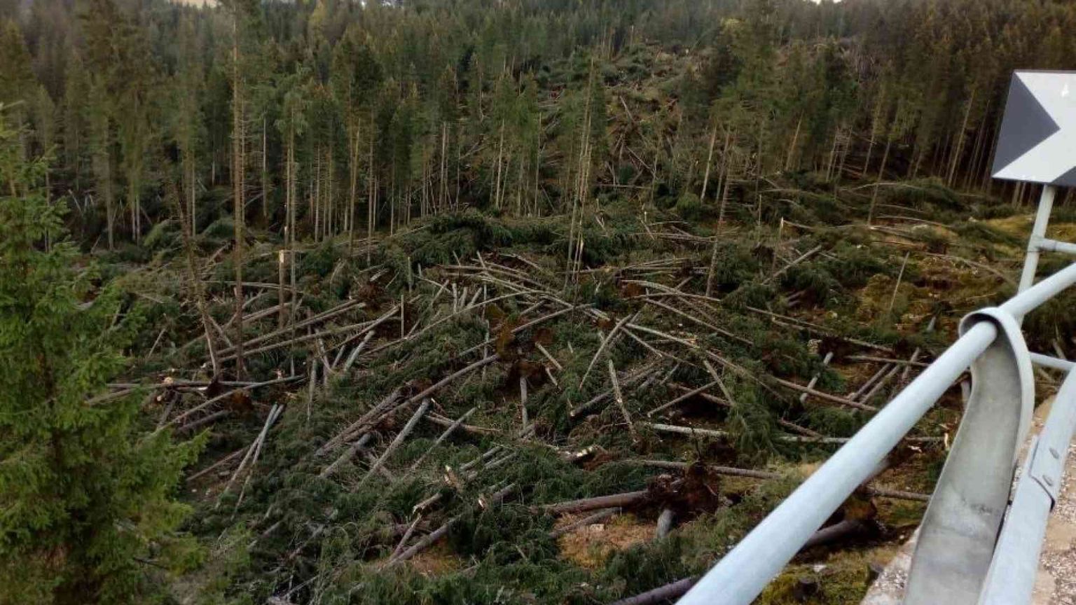 Appello di Mattarella e altri 5 Paesi per il clima: non c'è tempo da perdere