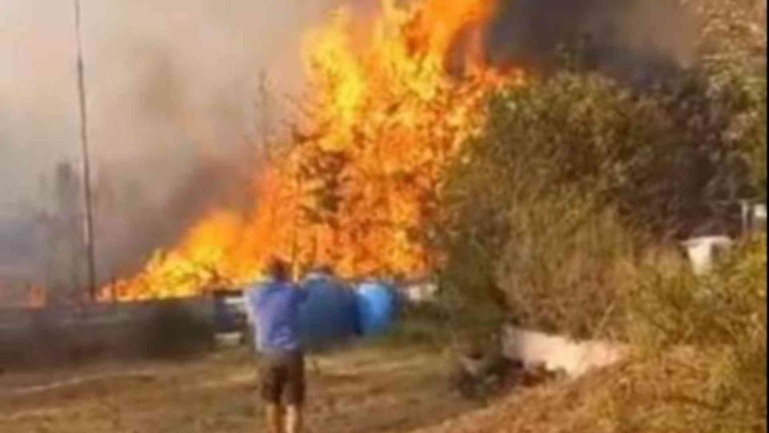 Spopolamento e abbandono delle terre. Perché in Sardegna i roghi sono dolosi