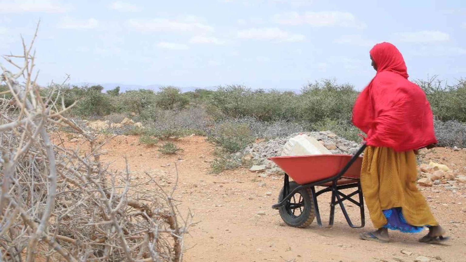 Acqua a rischio, «la crisi climatica asseterà il mondo»