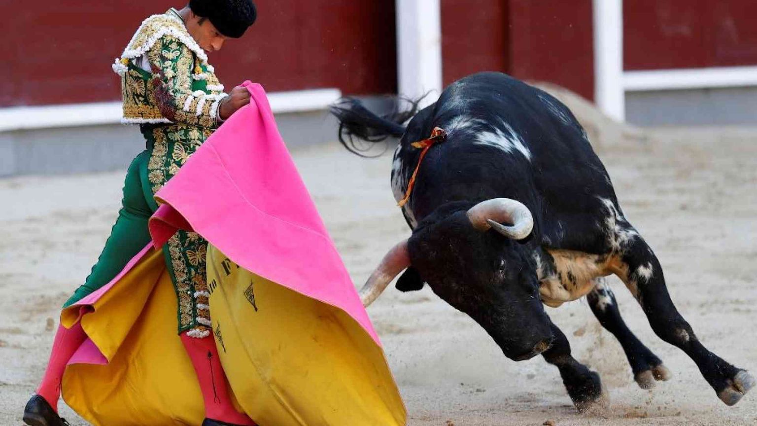 L'Unesco boccia le corride: «Non sono patrimonio dell'umanità»